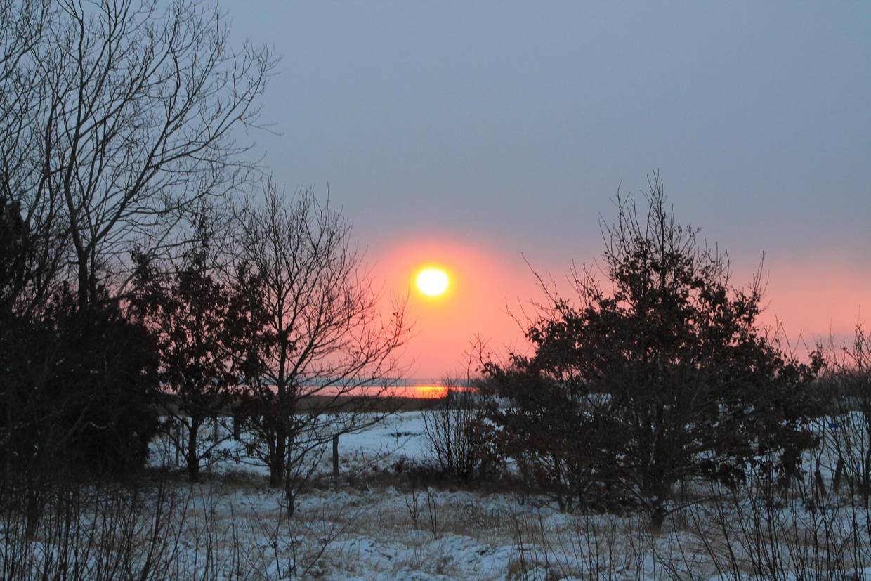 Foto von Ferienhaus IX91 in Kongsmark - Rømø