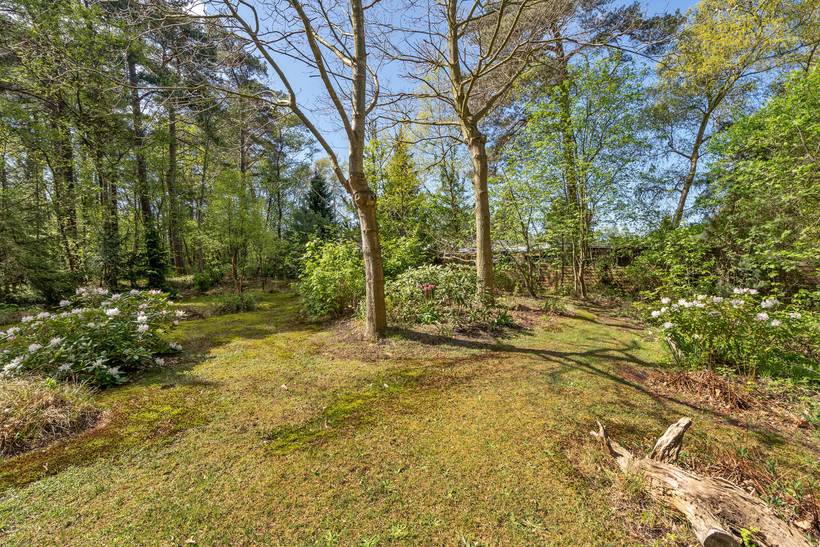 Foto von Ferienhaus IY66 in Gedesby - Falster