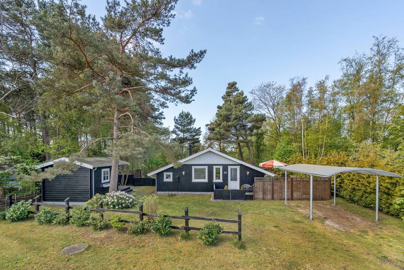 Foto von Ferienhaus IY66 in Gedesby - Falster
