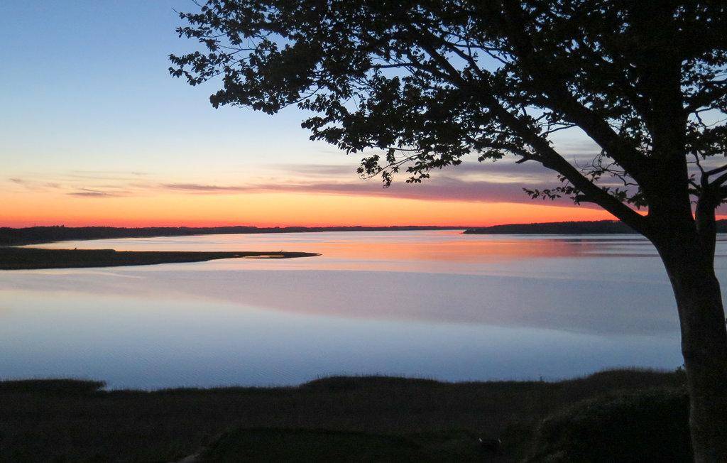 Foto von Ferienhaus IZ06 in Hjarbæk - Thy/Limfjord
