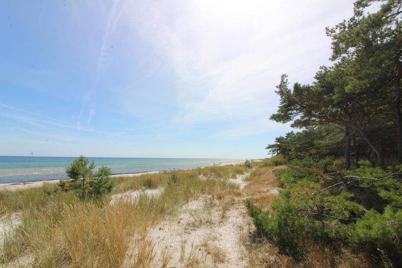 Foto von Ferienhaus IZ24 in Dueodde - Bornholm