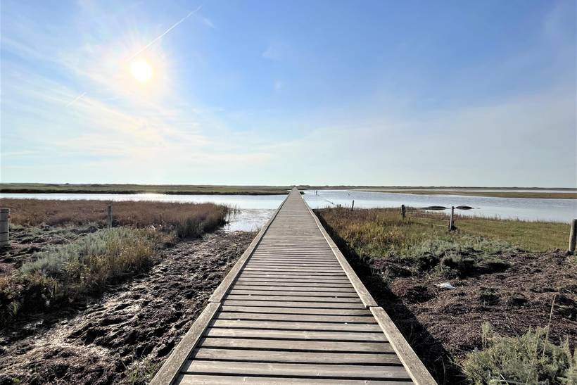Foto von Ferienhaus IZ43 in Sejerø Bugt - Westseeland