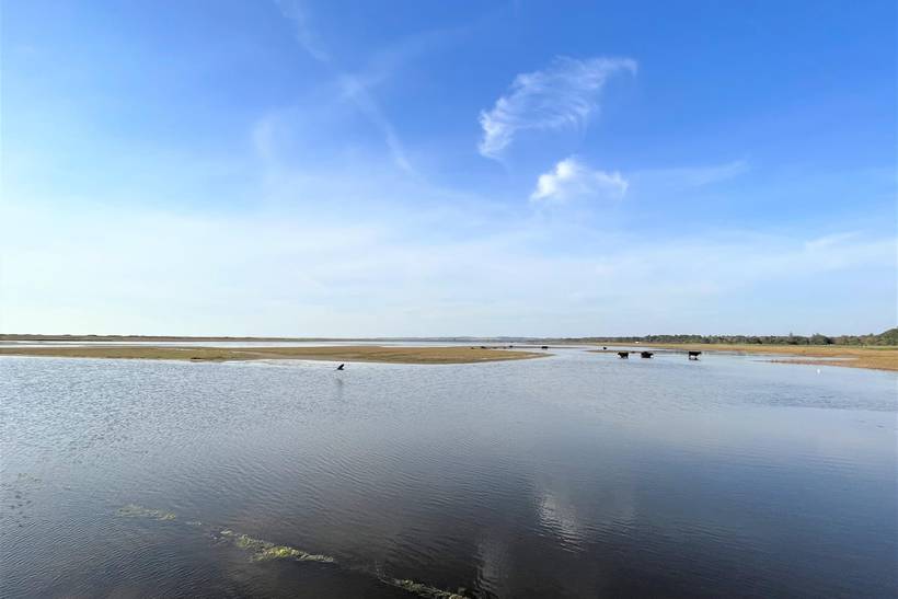 Foto von Ferienhaus IZ43 in Sejerø Bugt - Westseeland