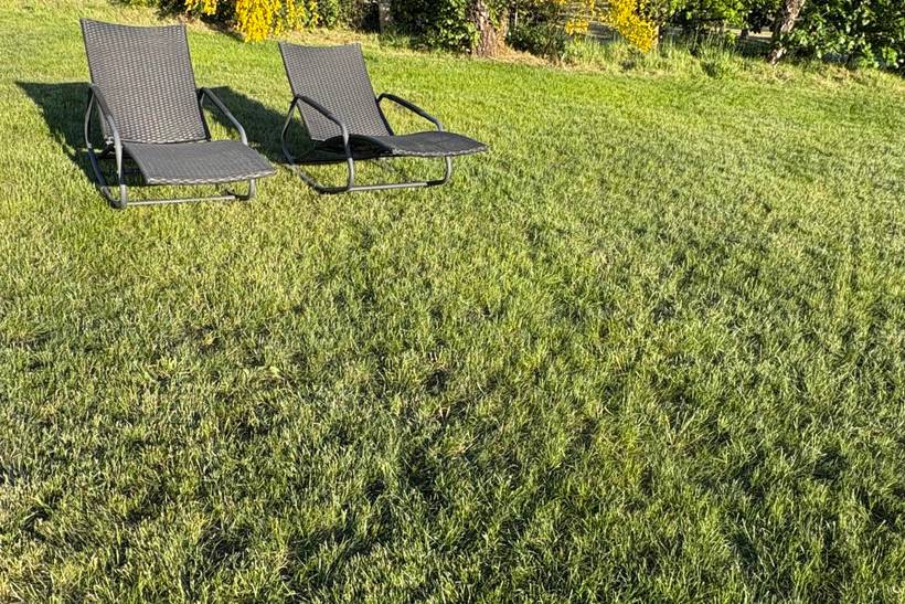 Foto von Ferienhaus IZ80 in Handrup - Ebeltoft - Ostjütland