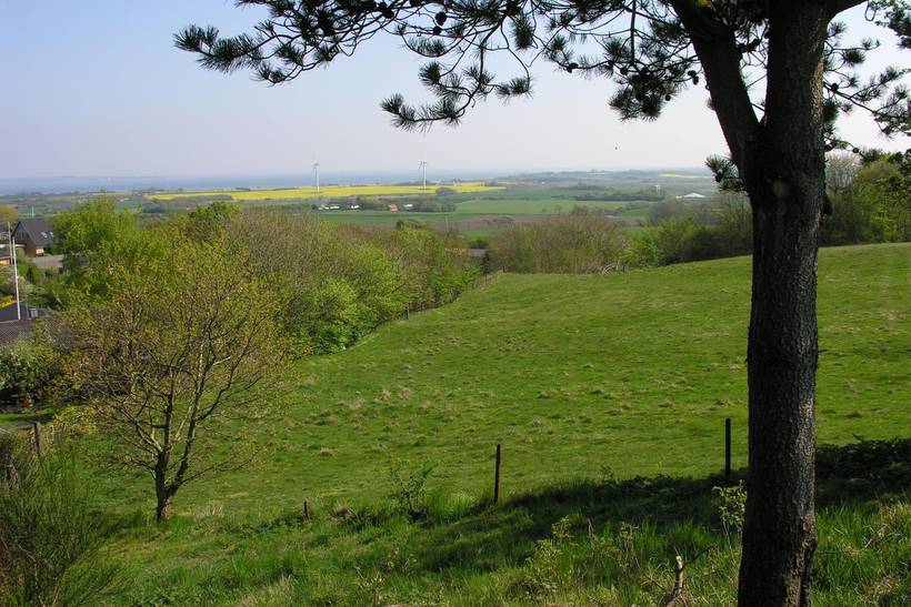 Foto von Ferienhaus IZ88 auf Mors - Thy/Limfjord