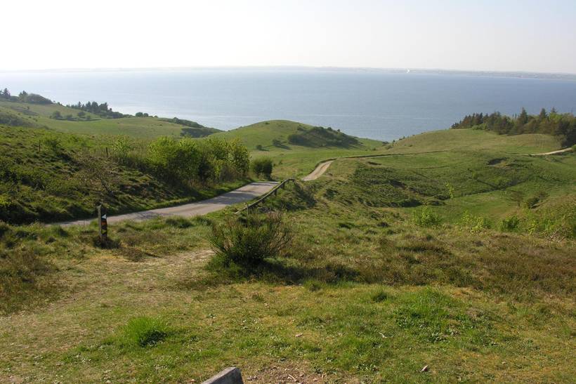 Foto von Ferienhaus IZ88 auf Mors - Thy/Limfjord