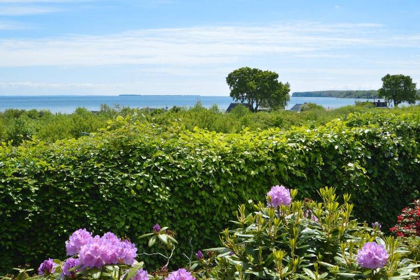 Foto von Ferienhaus JA19 in Grønninghoved - Südjütland