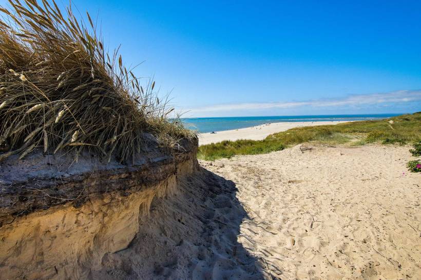 Foto von Ferienhaus JA57 in Blåvand - Westjütland