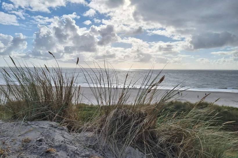 Foto von Ferienhaus JA57 in Blåvand - Westjütland