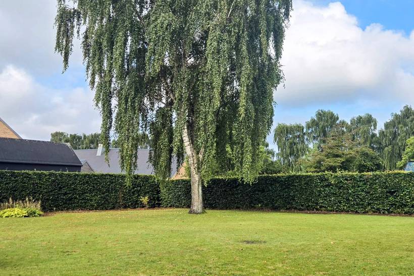 Foto von Ferienhaus JA61 in Kvie Sø - Westjütland