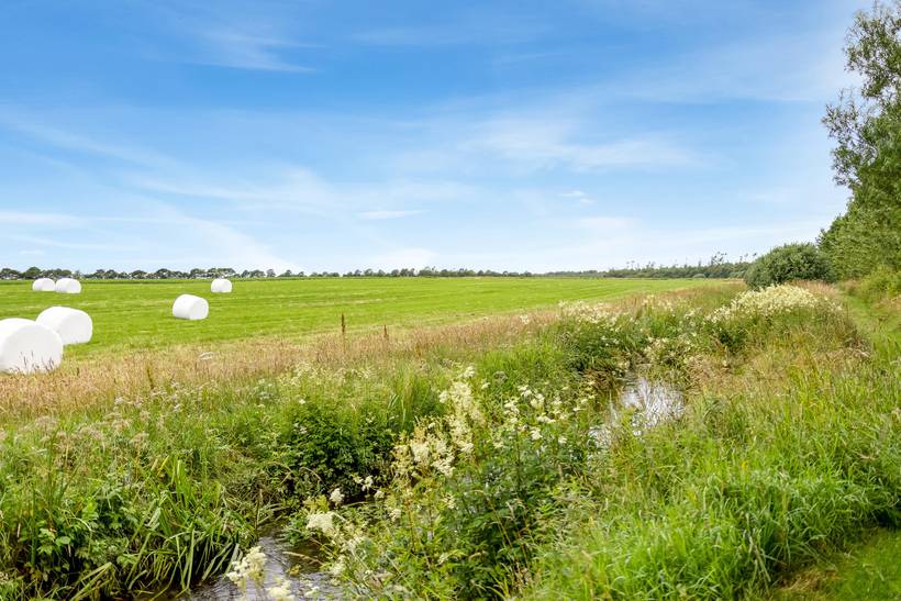 Foto von Ferienhaus JA74 in Arrild - Südjütland