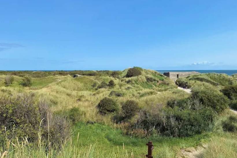 Foto von Ferienhaus JA84 in Skagen - Nordjütland
