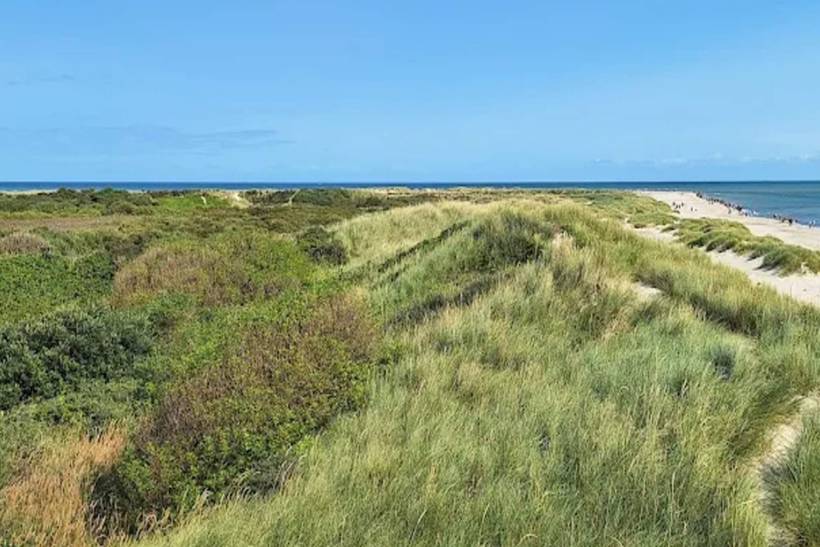 Foto von Ferienhaus JA84 in Skagen - Nordjütland