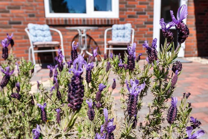 Foto von Ferienhaus JB20 in Vejers Strand - Westjütland