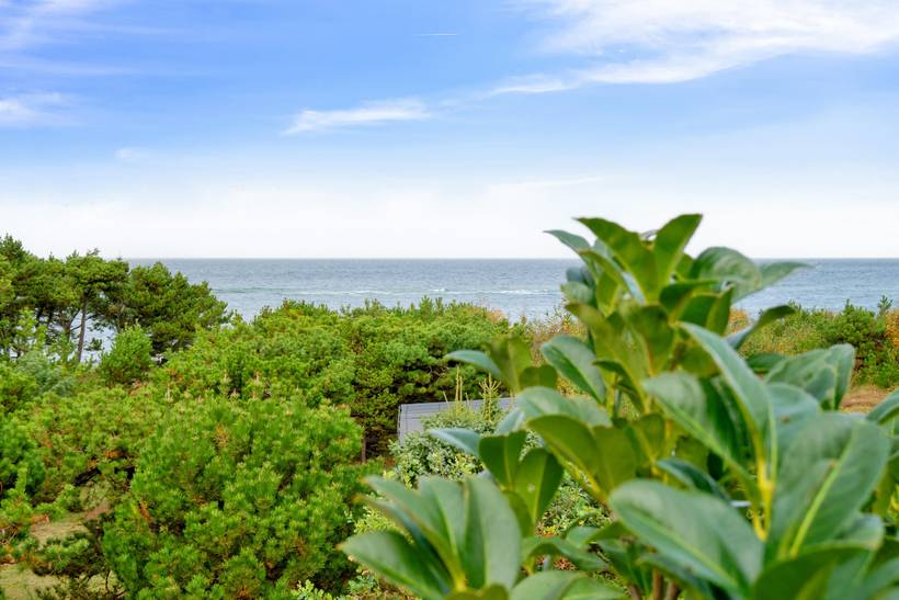 Foto von Ferienhaus JB22 in Smidstrup - Gilleleje - Nordseeland