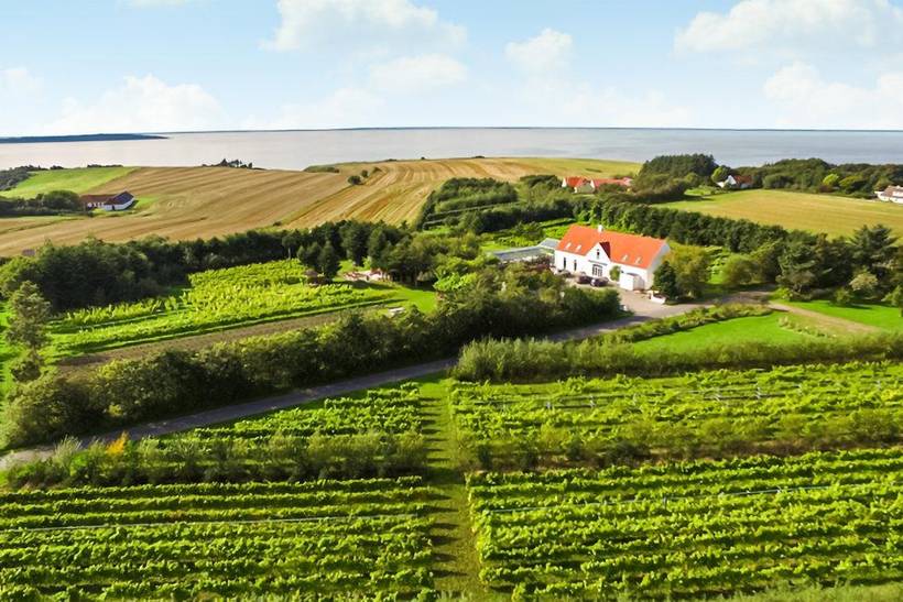 Foto von Ferienhaus JC52 in Næsbydale - Thy/Limfjord