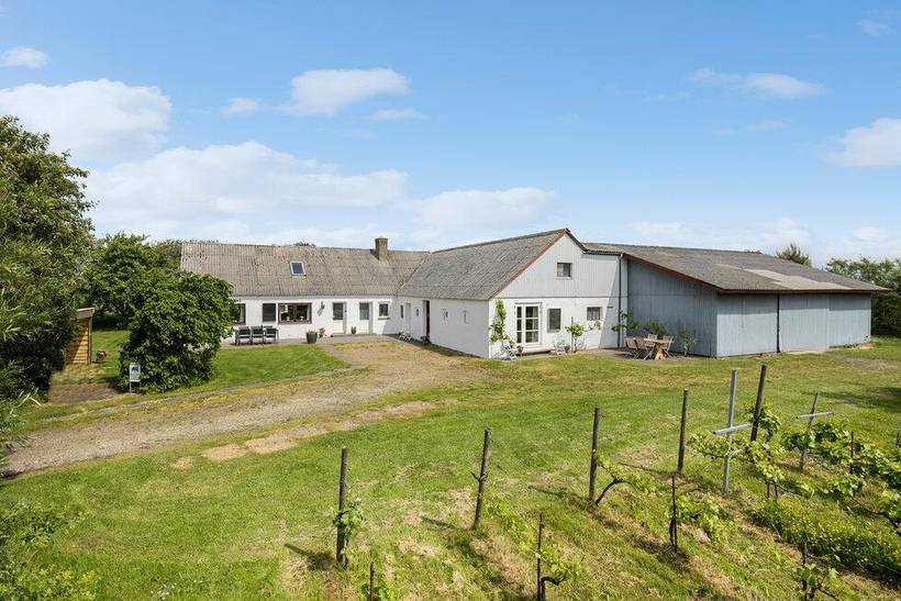 Foto von Ferienhaus JC52 in Næsbydale - Thy/Limfjord