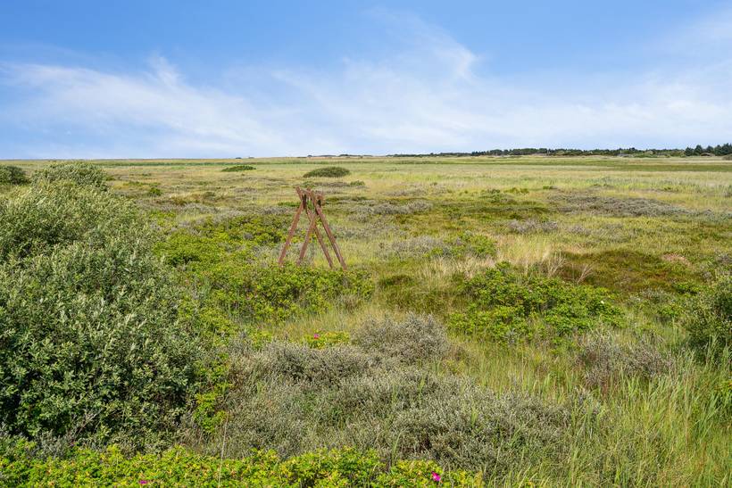 Foto von Ferienhaus JD56 in Lakolk - Rømø
