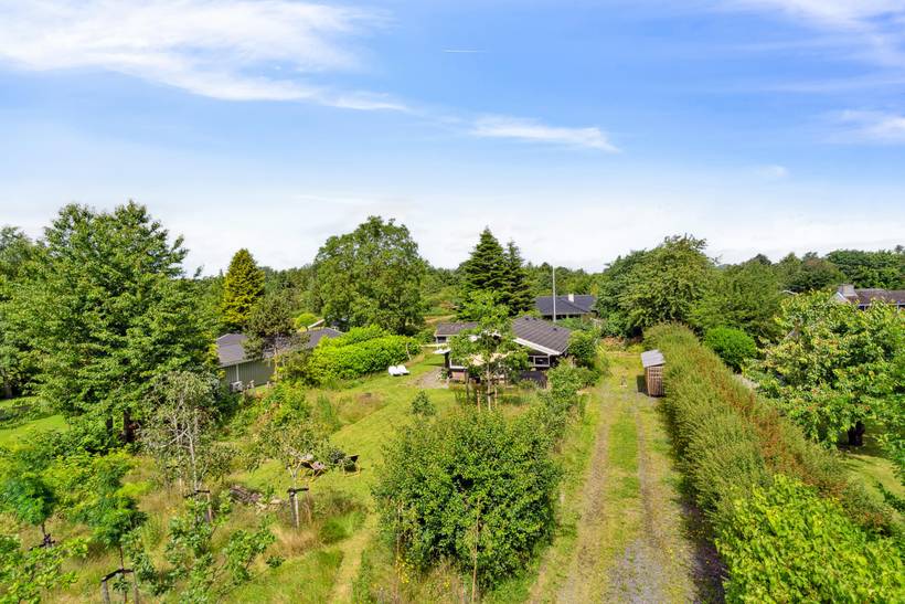 Foto von Ferienhaus JD82 auf Kregme - Nordseeland
