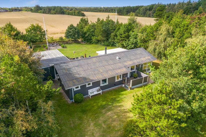 Foto von Ferienhaus JE50 in Nørhede - Fjand - Westjütland