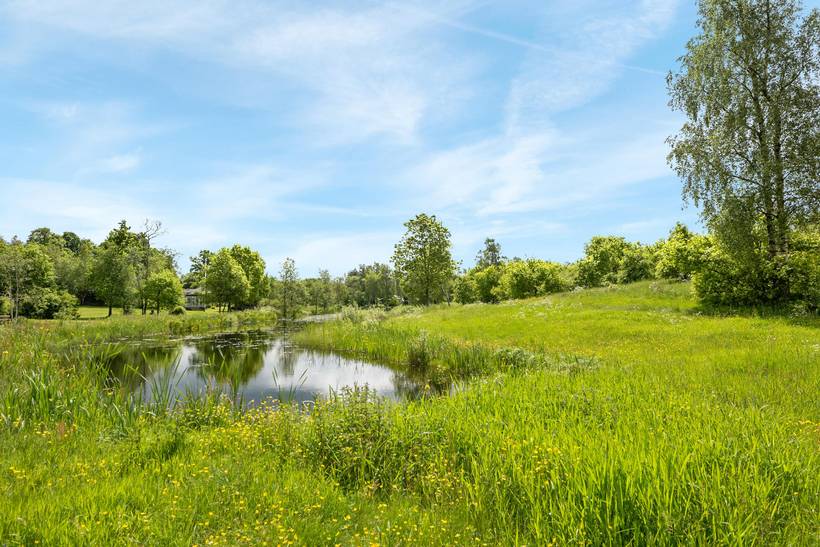 Foto von Ferienhaus JE79 in Vesterlund - Ostjütland