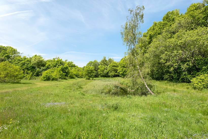 Foto von Ferienhaus JE79 in Vesterlund - Ostjütland