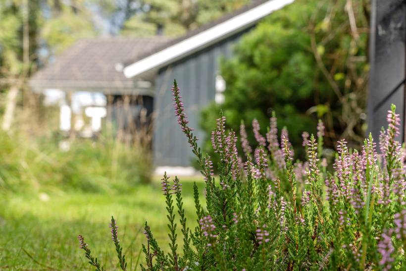 Foto von Ferienhaus JE90 in Kollerup - Nordjütland