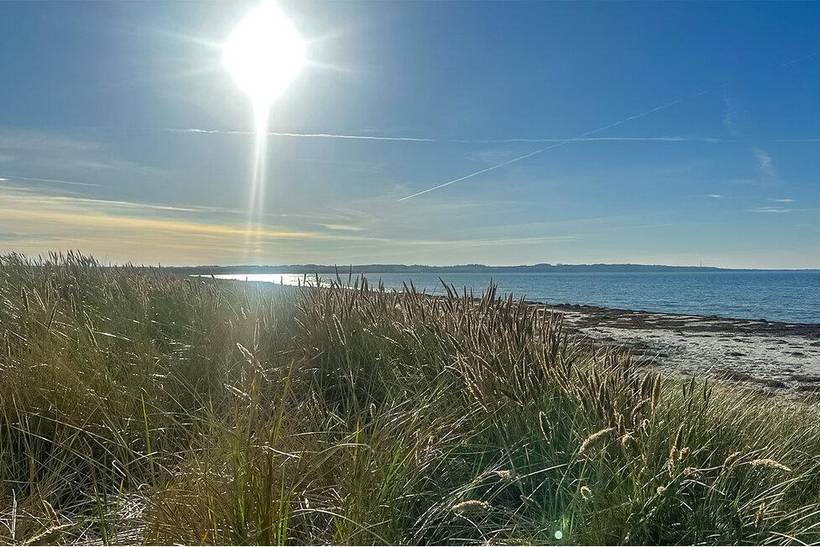 Foto von Ferienhaus JF12 in Sejerø Bugt - Westseeland