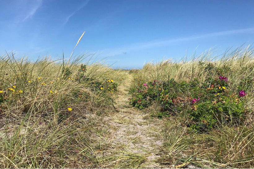 Foto von Ferienhaus JF12 in Sejerø Bugt - Westseeland