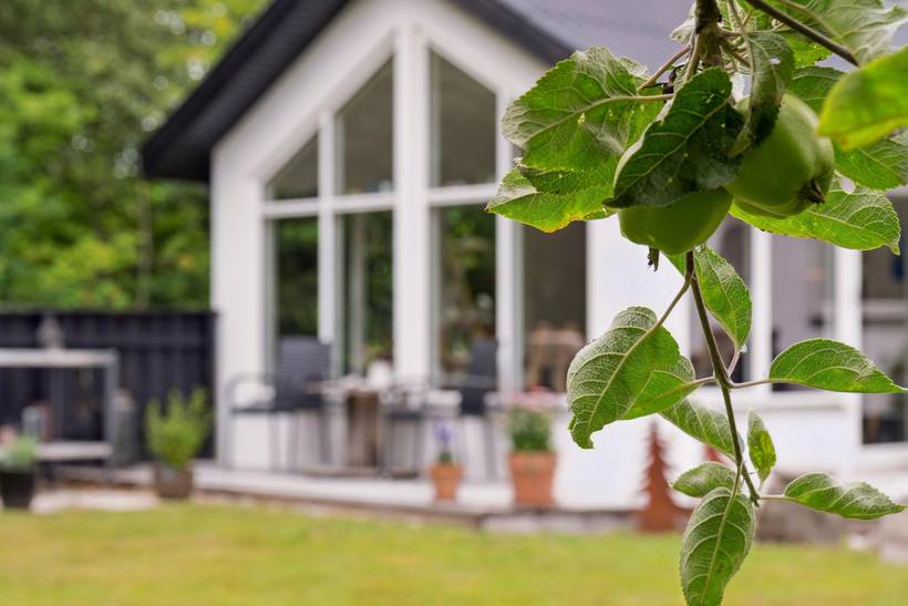 Foto von Ferienhaus JF36 in Amtoft - Thy/Limfjord