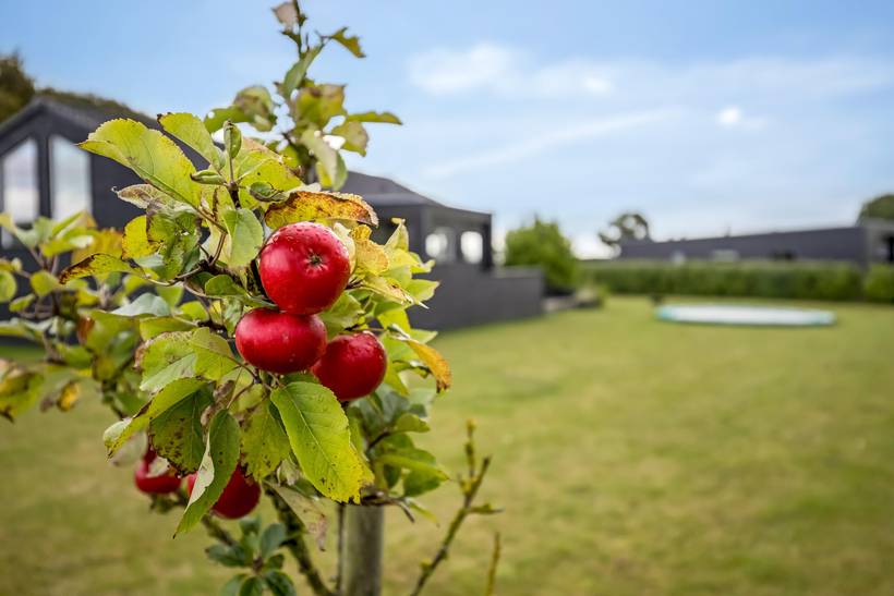 Foto von Ferienhaus JF50 in Sandersvig - Südjütland