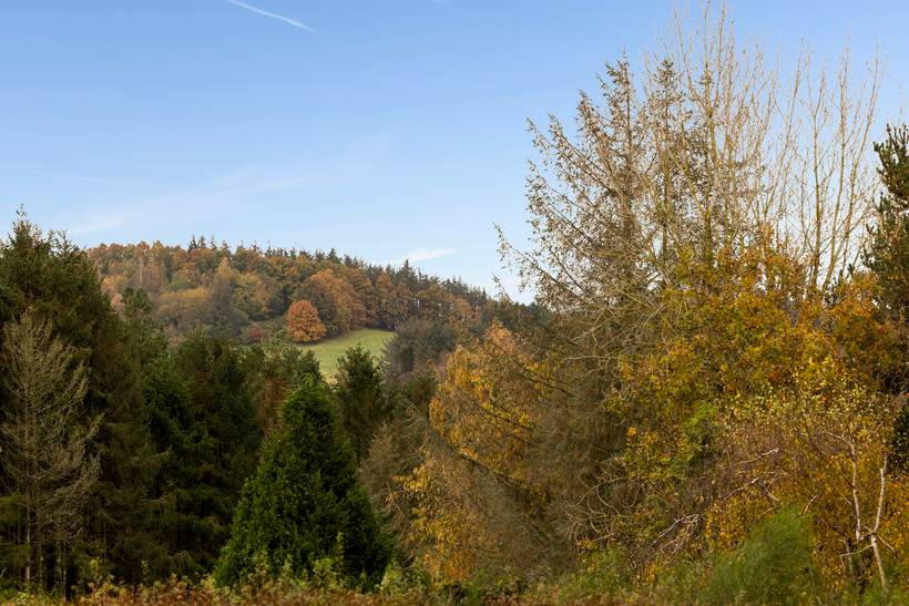 Foto von Ferienhaus JF56 in Lyngsbæk - Ebeltoft - Ostjütland