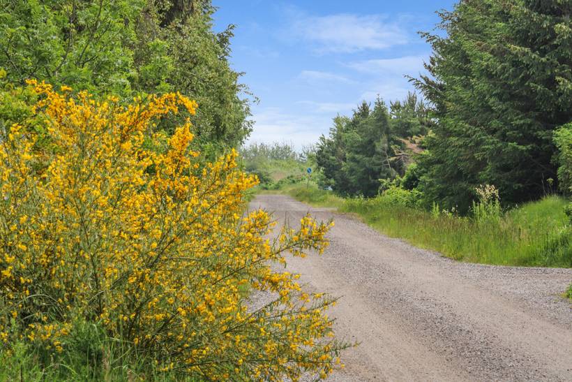 Foto von Ferienhaus JF67 in Hou - Nordjütland Ost