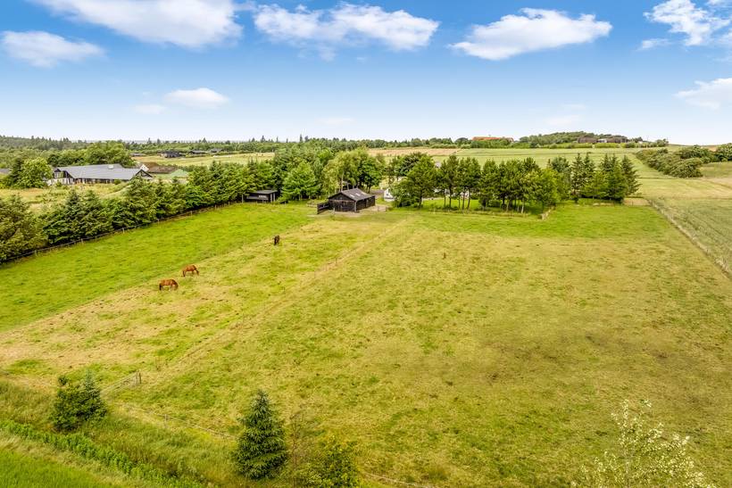 Foto von Ferienhaus JF87 in Slettestrand - Nordjütland