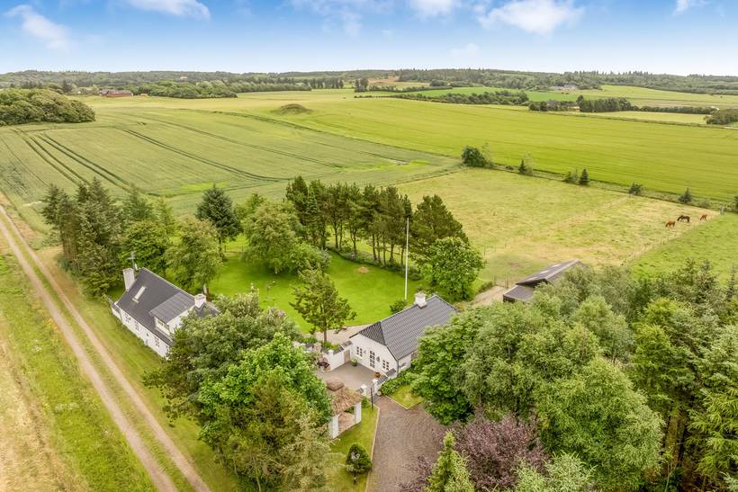 Foto von Ferienhaus JF87 in Slettestrand - Nordjütland