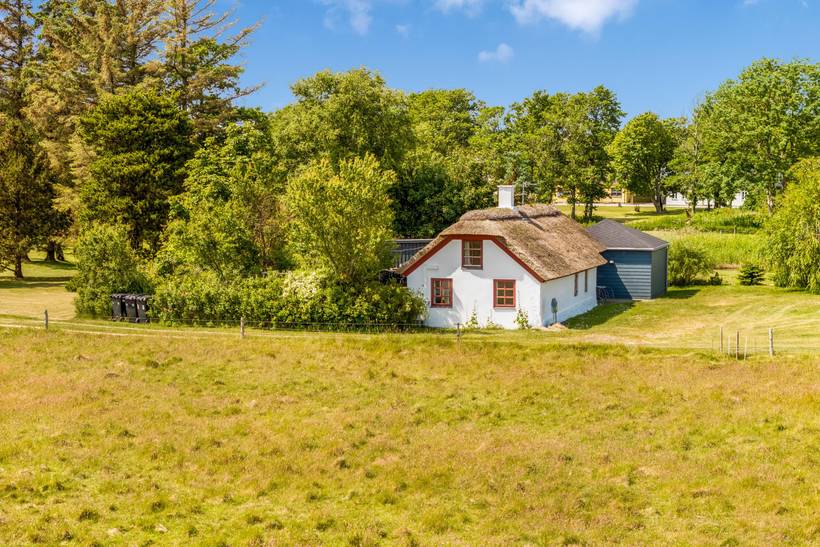 Foto von Ferienhaus JF94 in Amtoft - Thy/Limfjord