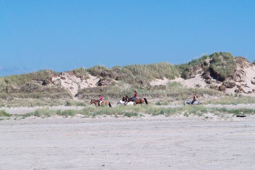Foto von Ferienhaus JG68 in Lakolk - Rømø