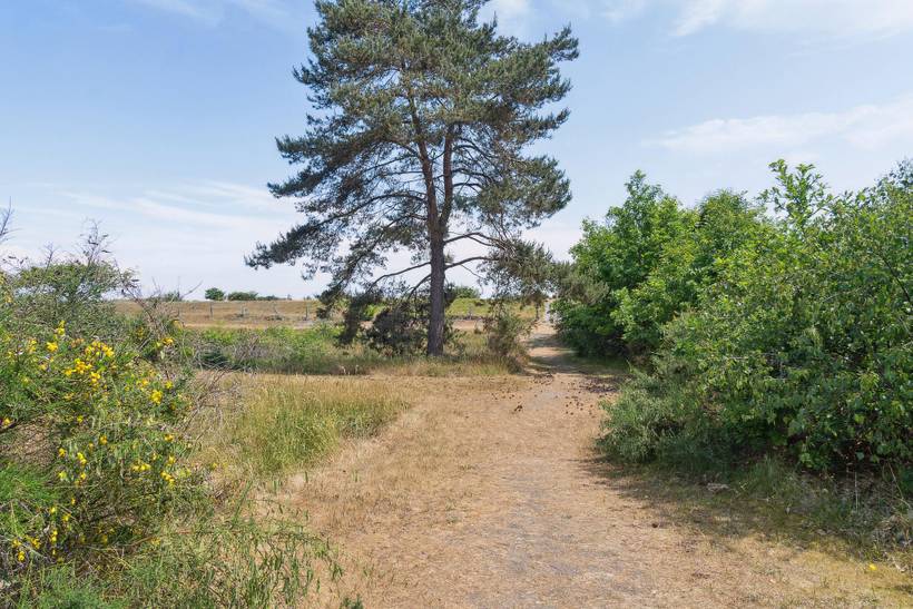 Foto von Ferienhaus JH34 in Marielyst - Falster