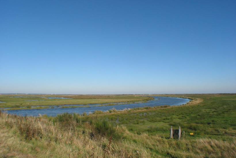 Foto von Ferienhaus JI11 in Stauning - Westjütland