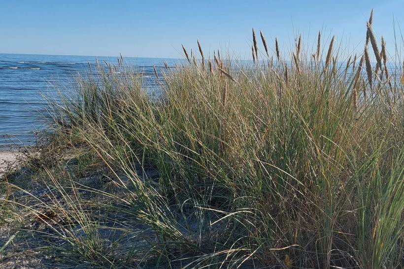 Foto von Ferienhaus JJ25 in Hou - Nordjütland Ost