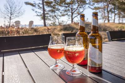 Vorschaubild von Ferienhaus JJ53 in Dueodde - Bornholm