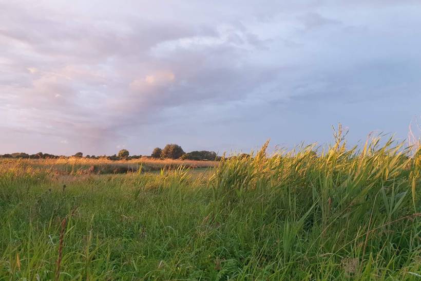 Foto von Ferienhaus JK10 in Skovmose - Als