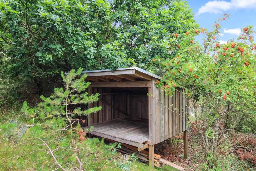Foto von Ferienhaus JK19 in Vejers Strand - Westjütland