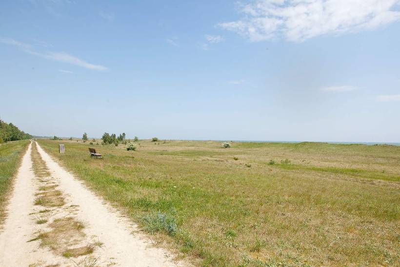 Foto von Ferienhaus JK56 in Marielyst - Falster