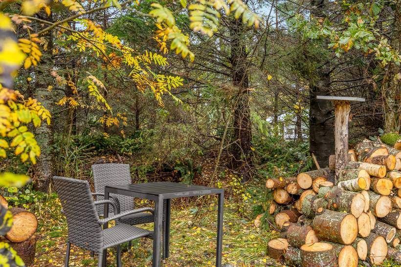 Foto von Ferienhaus JK63 in Bunken - Ålbæk - Nordjütland Ost