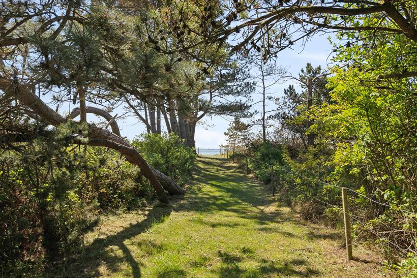 Foto von Ferienhaus JL21 in Kegnæs - Als