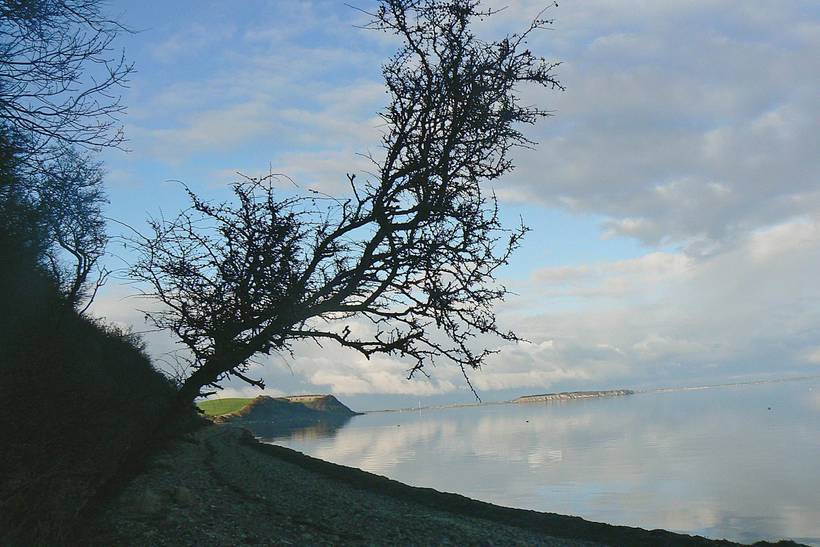 Foto von Ferienhaus JL95 auf Mors - Thy/Limfjord