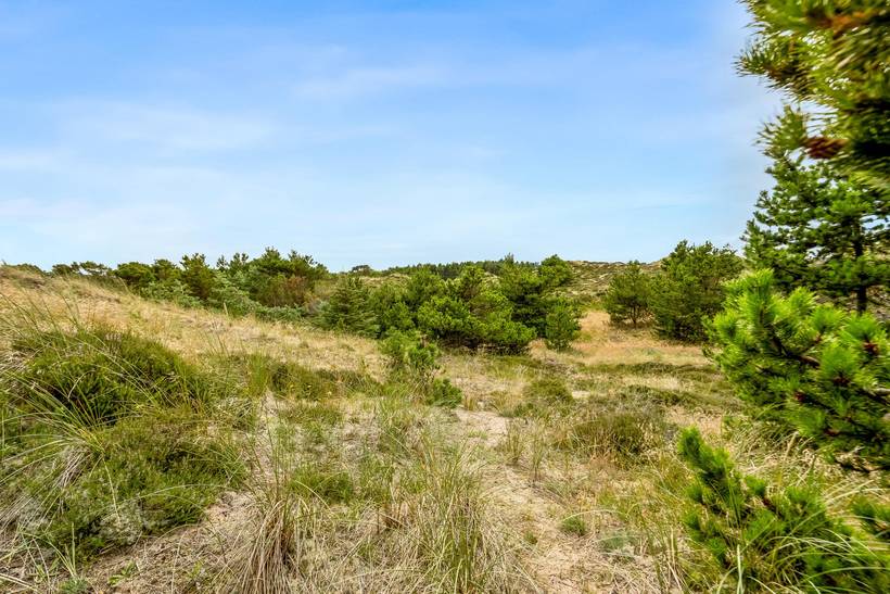 Foto von Ferienhaus JM42 in Gl. - Skagen - Nordjütland
