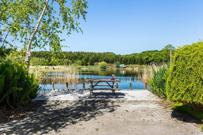 Foto von Ferienhaus JM53 in Nibe - Thy/Limfjord