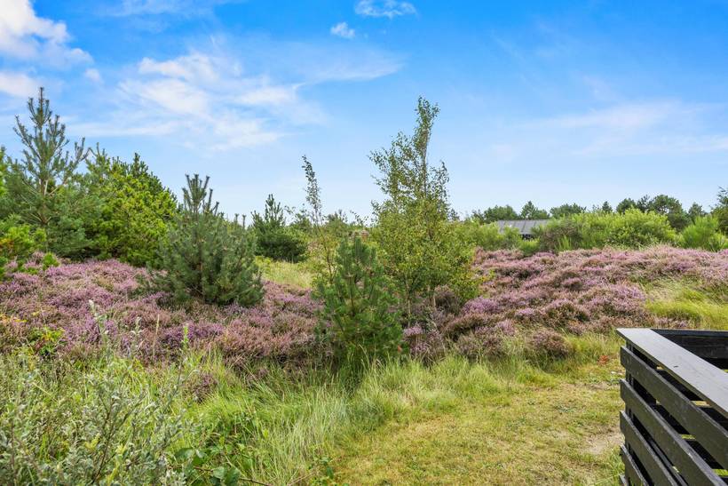 Foto von Ferienhaus JO14 in Bolilmark - Rømø